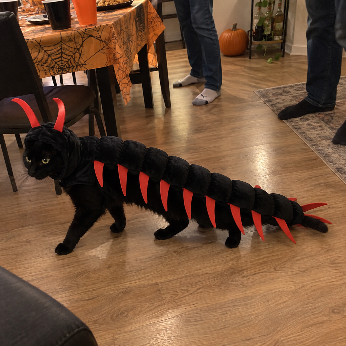 Trick or Treat Mode